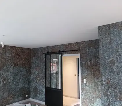 peintre en bâtiment Pleumeleuc-1